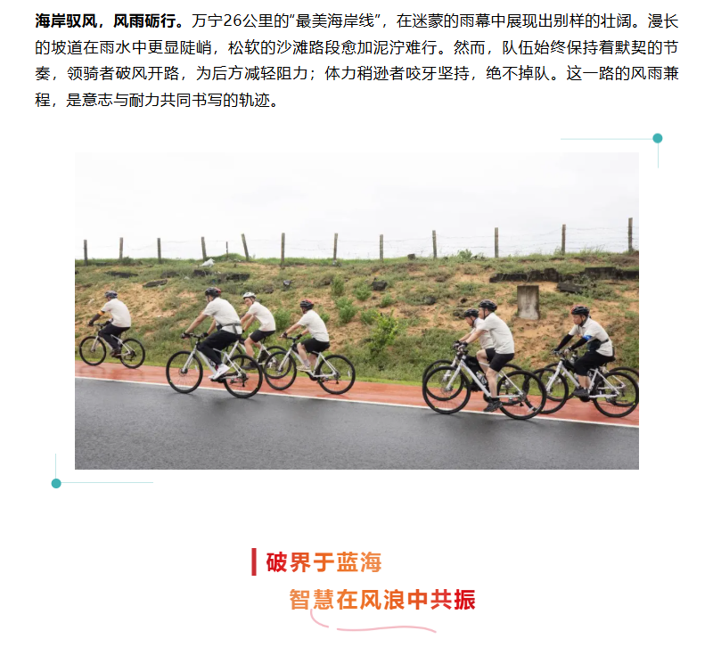 鉴黑担保网(中国)担保官网