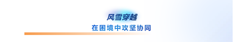 鉴黑担保网(中国)担保官网